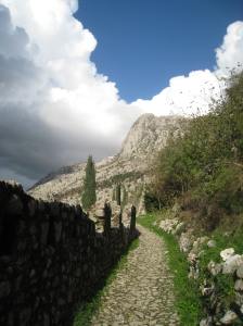 Biogradska Lake and Primeval Forest National Park